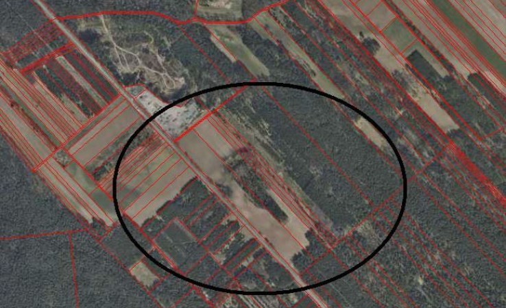 działka na sprzedaż - Knyszyn (gw), Poniklica, Wodziłówka