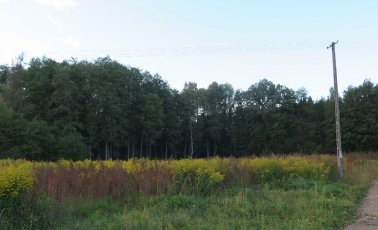 działka na sprzedaż - Grabówka (gw), Zaścianki