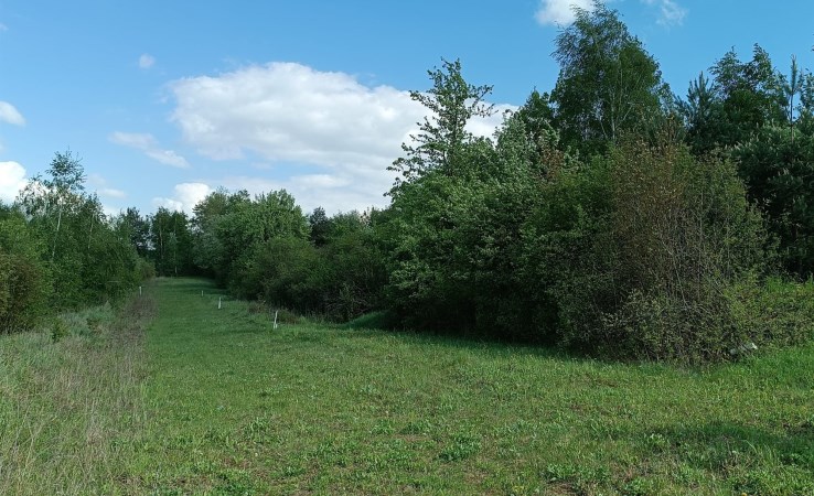 parcel for sale - Mielnik