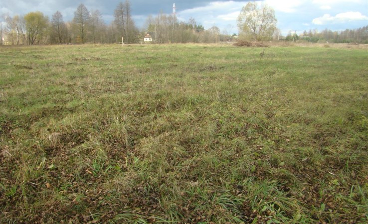 działka na sprzedaż - Michałowo