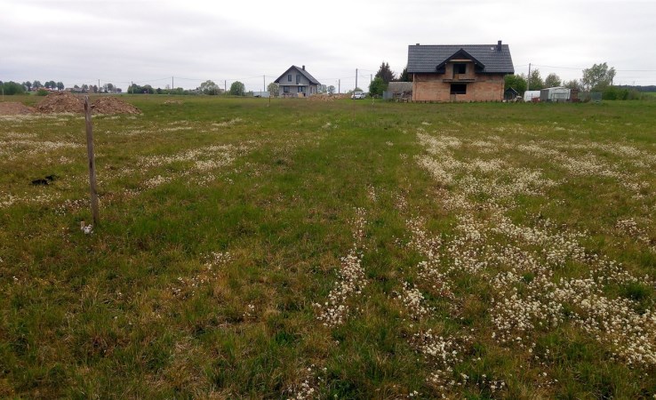 działka na sprzedaż - Dobrzyniewo Duże