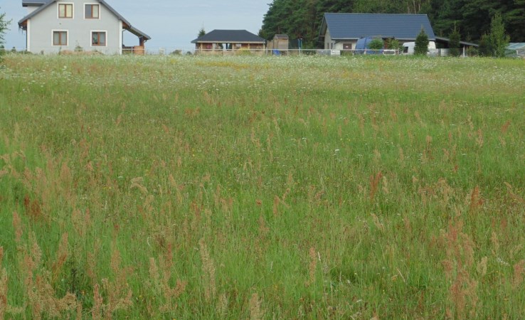 działka na sprzedaż - Zabłudów