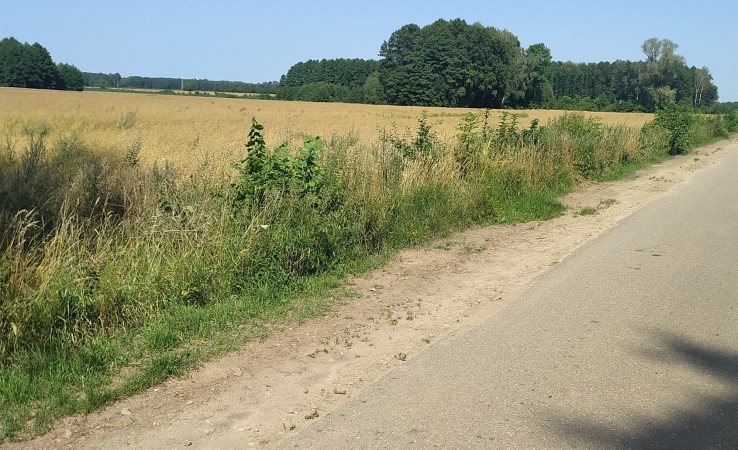 działka na sprzedaż - Juchnowiec Kościelny, Biele