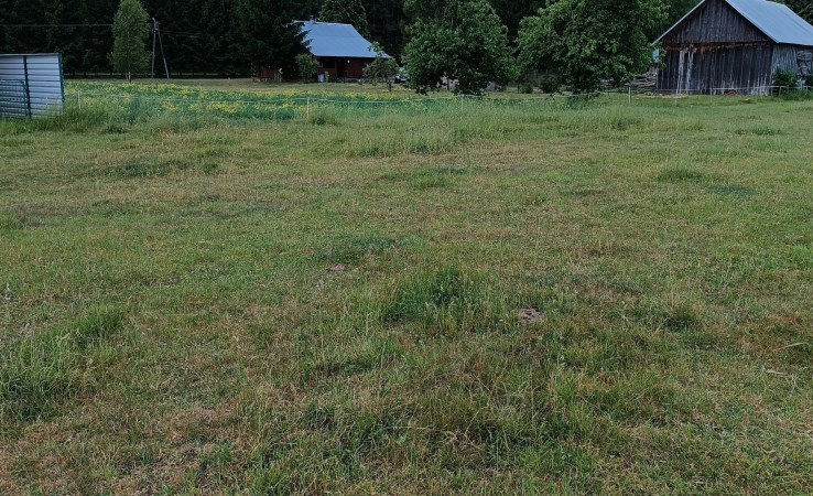 parcel for sale - Mielnik, Sutno