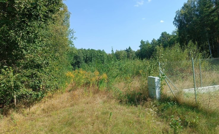 działka na sprzedaż - Zabłudów (gw), Halickie