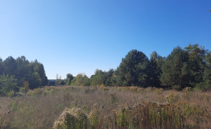 działka na sprzedaż - Michałowo (gw), Stara Łuplanka