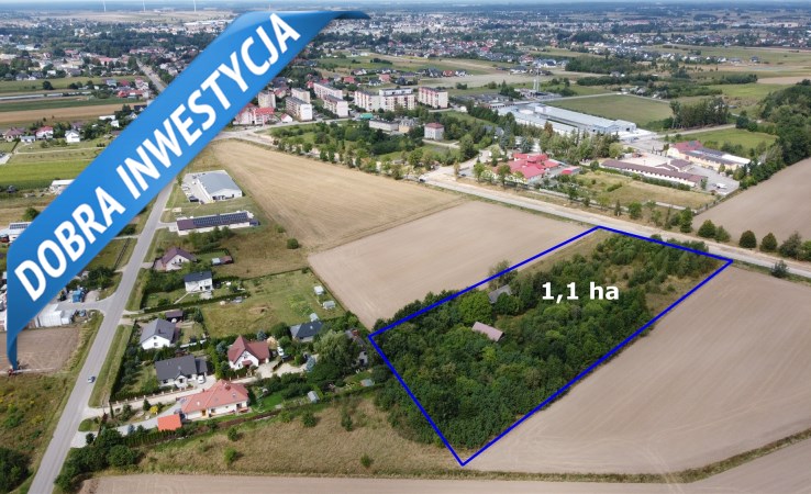 działka na sprzedaż - Bielsk Podlaski (gw), Widowo, Białowieska