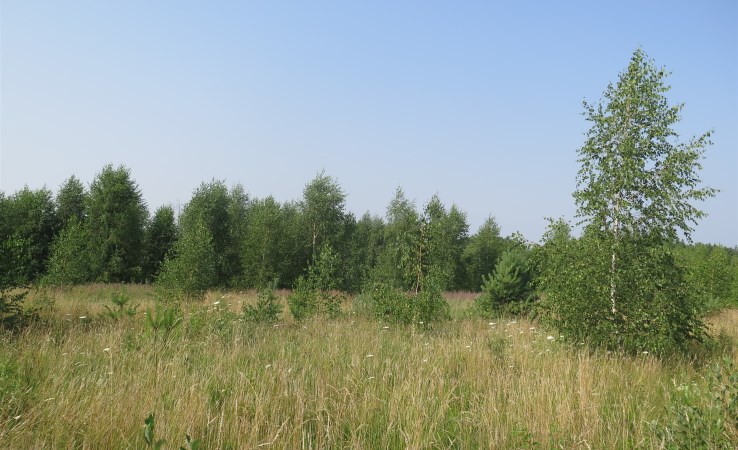 działka na sprzedaż - Zabłudów (gw), Kuriany