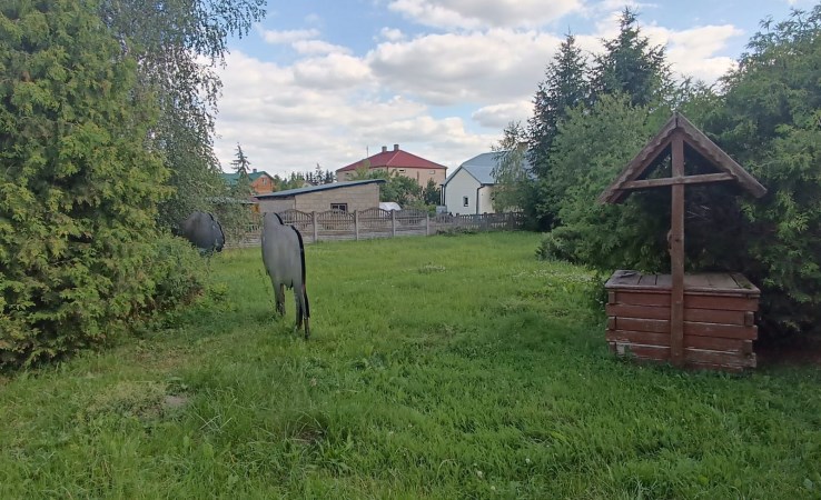 dom na sprzedaż - Brańsk