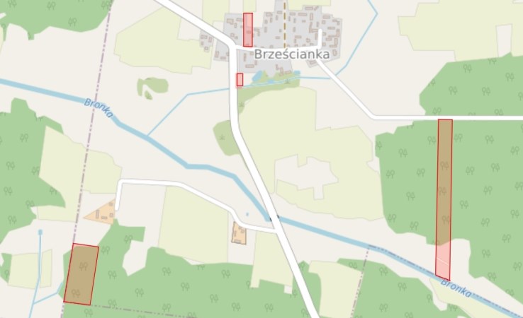 działka na sprzedaż - Bielsk Podlaski (gw), Brześcianka