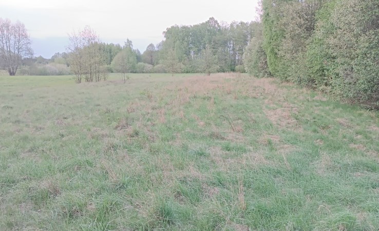 działka na sprzedaż - Juchnowiec Kościelny, Klewinowo