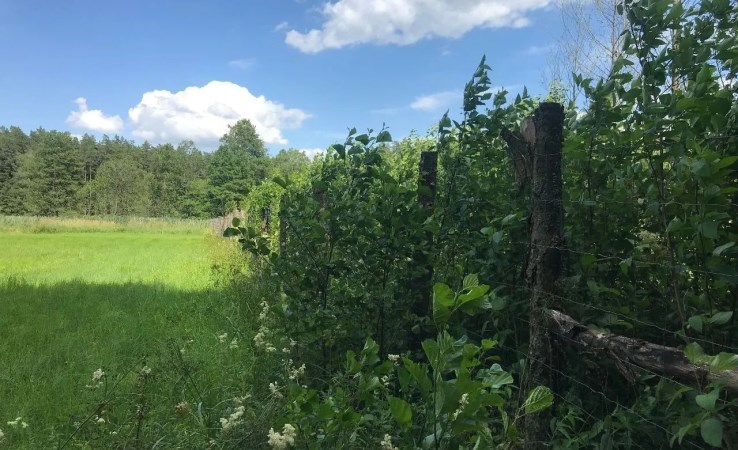 działka na sprzedaż - Szudziałowo, Lipowy Most