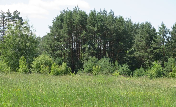 działka na sprzedaż - Zabłudów (gw), Kuriany