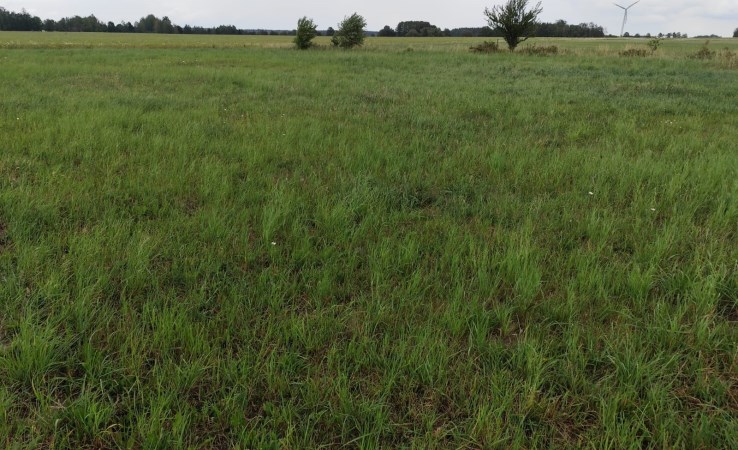 parcel for sale - Zabłudów (gw), Rafałówka