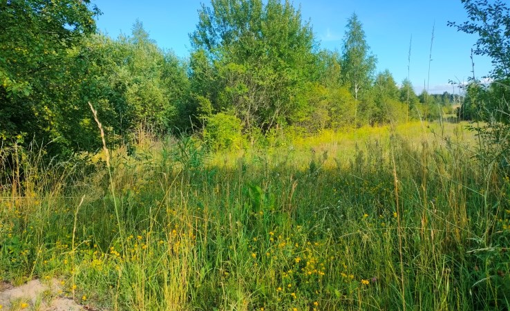 działka na sprzedaż - Turośń Kościelna, Baciuty