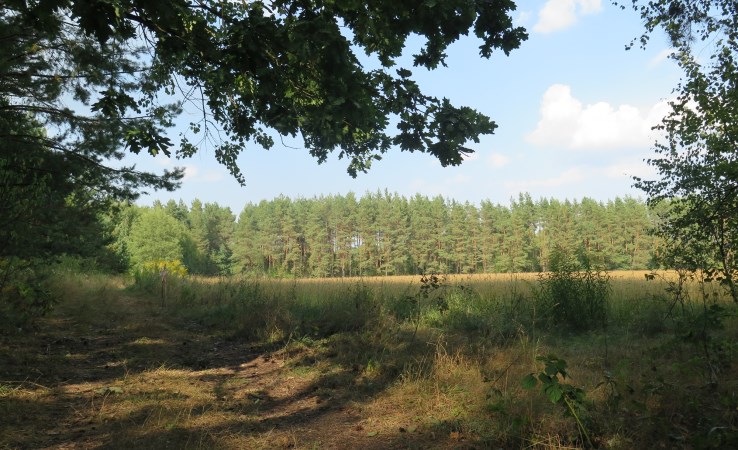 земельный-участок на продажу - Supraśl (gw), Ciasne