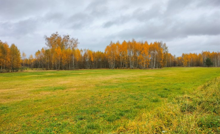 działka na sprzedaż - Turośń Kościelna, Baciuty-Kolonia, Brzozowa