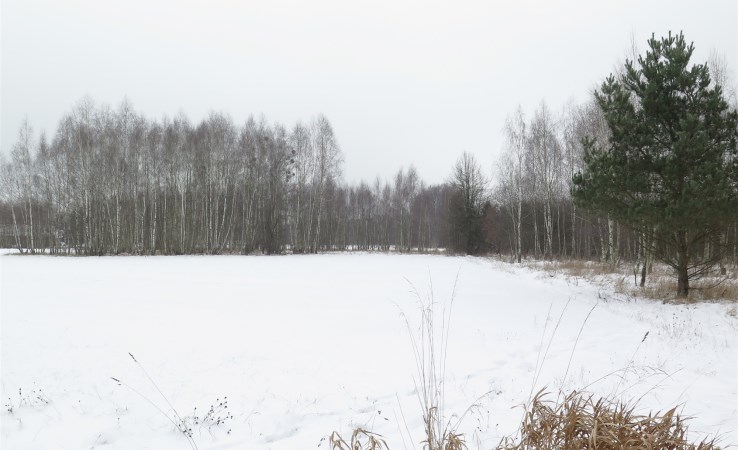 parcel for sale - Turośń Kościelna, Baciuty-Kolonia