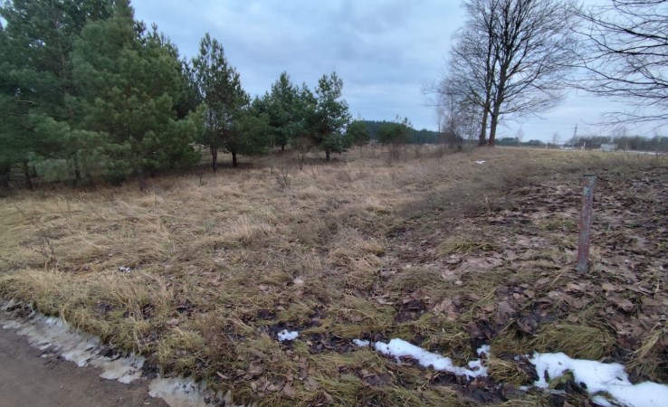 działka na sprzedaż - Dobrzyniewo Duże, Chraboły