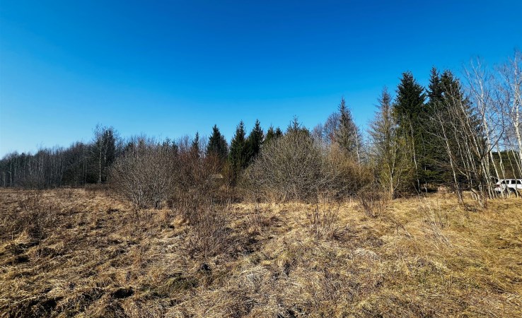 parcel for sale - Supraśl (gw), Ciasne, Radosna