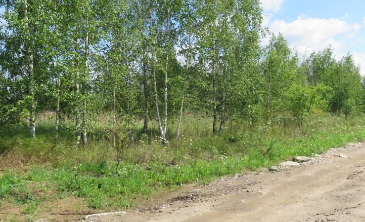 parcel for sale - Zabłudów (gw), Kuriany