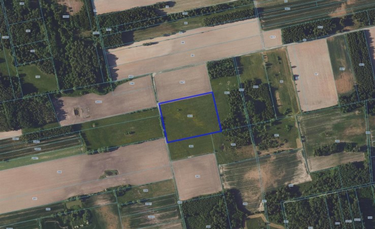 działka na sprzedaż - Orla, Malinniki