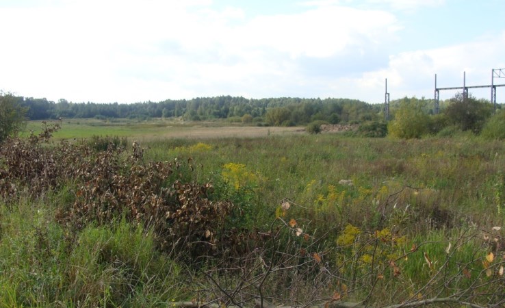 działka na sprzedaż - Juchnowiec Kościelny, Koplany