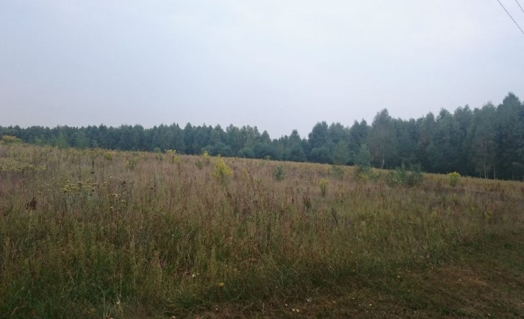 działka na sprzedaż - Knyszyn (gw), Grądy