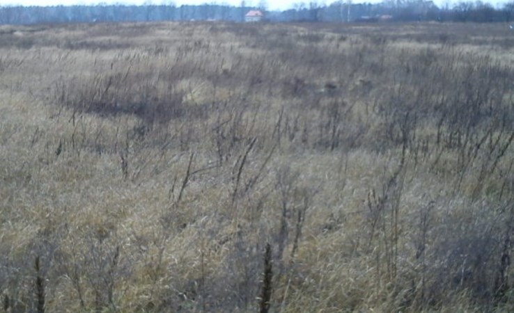 działka na sprzedaż - Grabówka (gw), Sobolewo