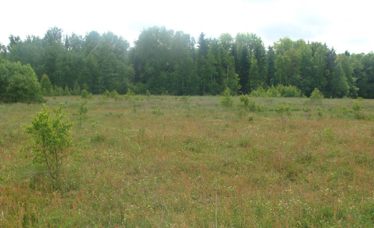 działka na sprzedaż - Supraśl (gw), Ciasne